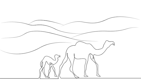 Camelforce